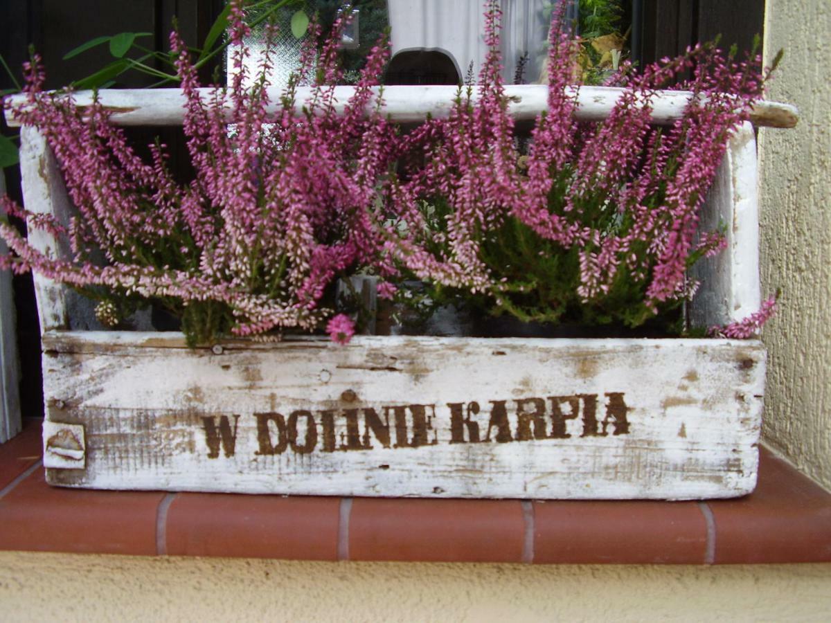 Spytkowice  Ranczo W Dolinie Karpia - Blisko "Energylandii" Zatorヴィラ エクステリア 写真